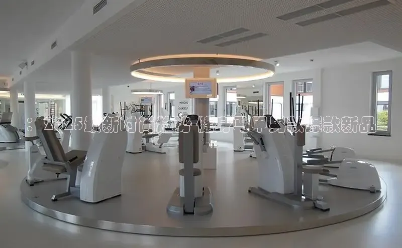 333体育官网入口